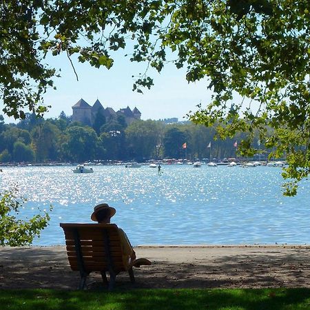 Charmant T3 Renove En Centre-Ville D'Annecy Avec Balcon, Ascenseur Et Parking Prive - Fr-1-432-83 Luaran gambar